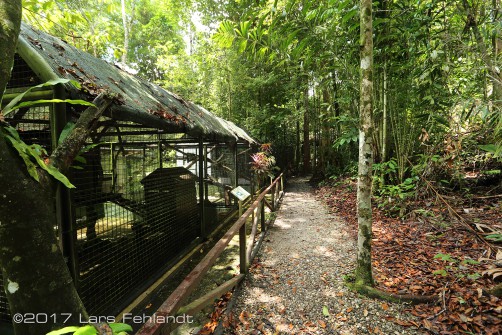 Matang Wildlife Centre
