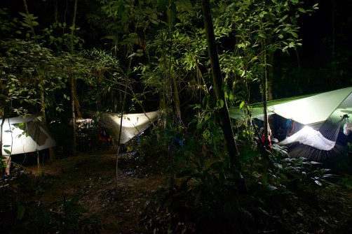 Camp during the night