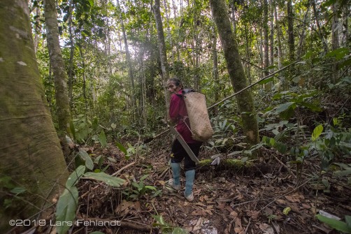 native man in central Sarawak : Rainforest