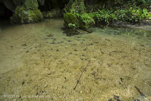clear water in front of the cave / south Sarawak / Borneo
