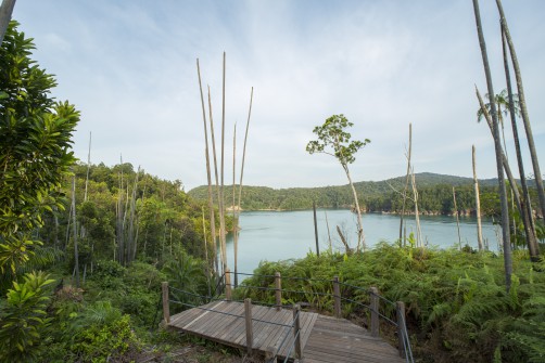 Pulau Lakei in Sarawak / Borneo