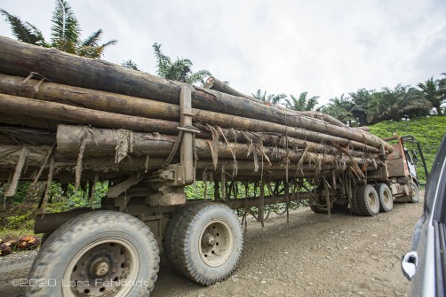 Holzfällertruck in einer Ölpalmplantage / Borneo