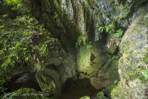 Dies ist der Eingang in die unterirdische Karsthöhle der Salanganen.