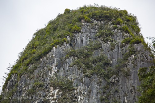 Kalkstein (Kegelkarst / Turmkarst), Bergkamm - Sarawak / Borneo - Limestone