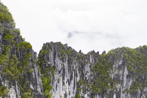 Kalkstein (Kegelkarst / Turmkarst), Bergkamm - Sarawak / Borneo - Limestone