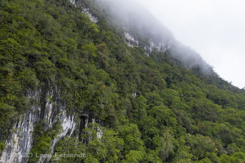 Kalkstein (Kegelkarst / Turmkarst) Felswand - Sarawak / Borneo - Limestone