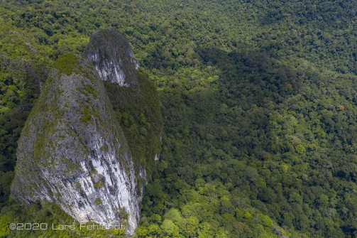 Kalkstein (Kegelkarst / Turmkarst) - Sarawak / Borneo - Limestone