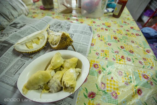 Ein Teil des Frühstücks, die Durian - man sollte diese Frucht unbedingt probieren - central Sarawak / Borneo