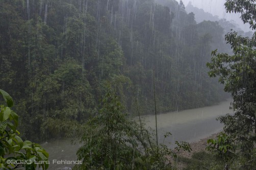 Solche Regenschauer sind normal im Dezember und Januar, oftmals kann es mehrere Tage am Stück regnen - central Sarawak / Borneo