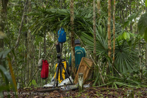 Unser provisorisches Camp aus Palmenblättern - central Sarawak / Borneo