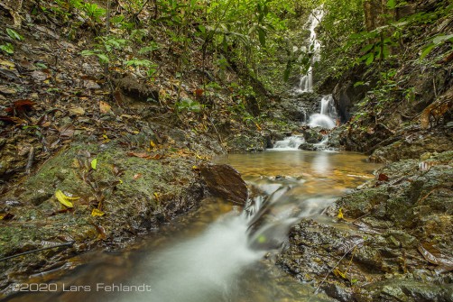 Diese Wasserfälle sind Lebensraum ganz besonderer Froscharten - central Sarawak / Borneo