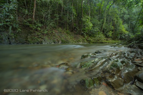 Dieser Fluss hat uns zurück zur Hütte gebracht, wir sind einfach im Bachbett gelaufen - central Sarawak / Borneo