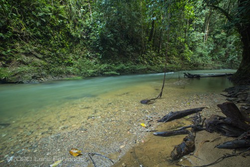 Steile Hänge auf beiden Seiten des Flusses, Wenn es regnet muss man sich in solchen Flüssen besonders vorsehen - central Sarawak / Borneo