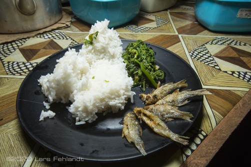 Reis, Paku (ein essbarer Farn) und frittierter Fisch aus dem Fluss - central Sarawak / Borneo