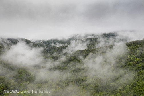 Am Morgen zieht der Nebel aus den immer feuchten Wäldern - central Sarawak / Borneo