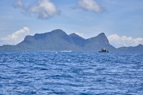Pulau Bodgaya / Sabah Borneo